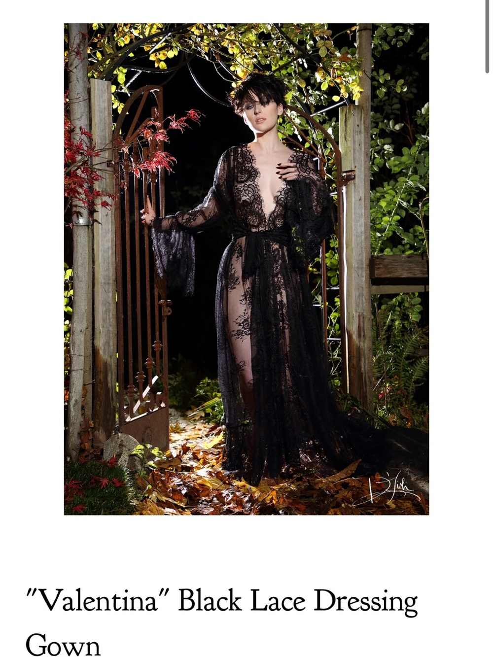 Valentina Black Lace Robe with Sheer Floral Detail